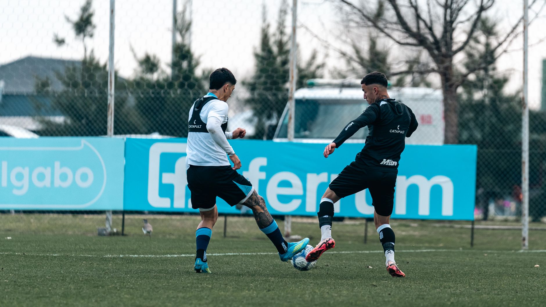 Two soccer players compete for the ball during a practice session on a grassy field.